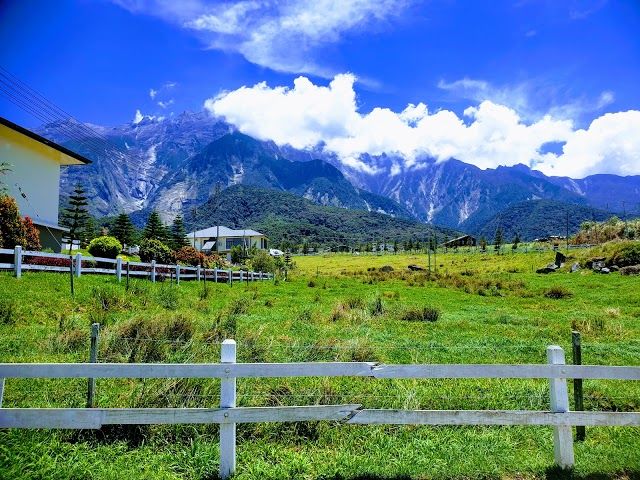 Melkboerderij Desa Cattle